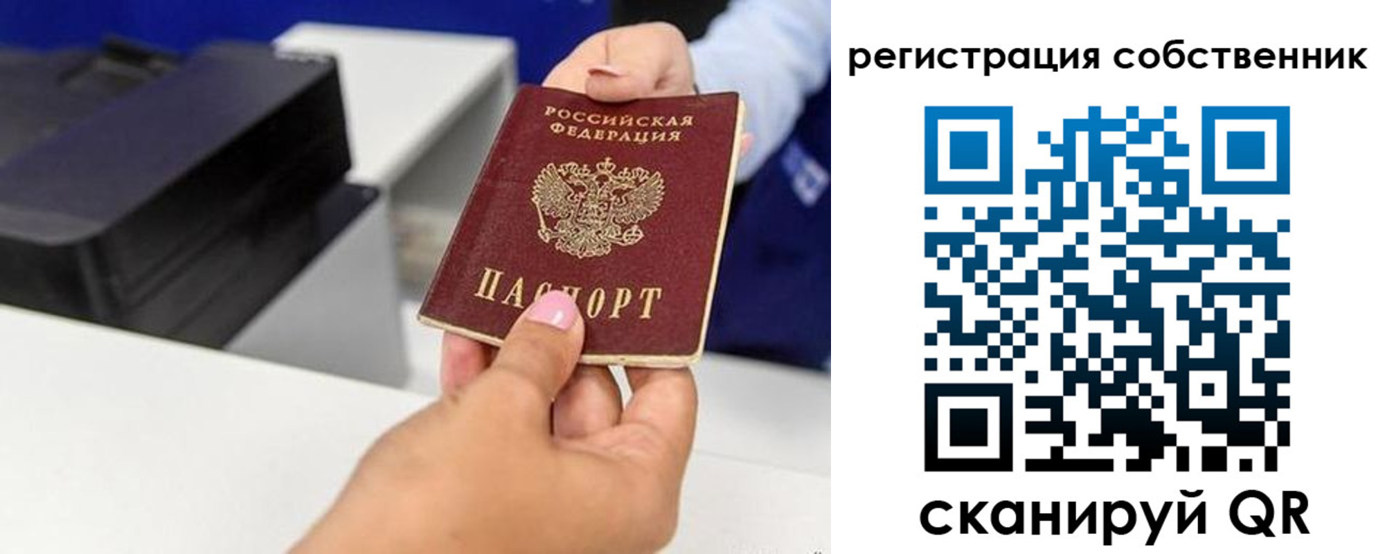 прописка для школы в Борзе